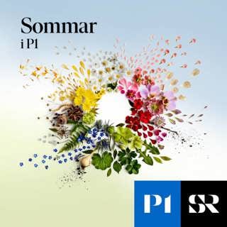 Sommar & Vinter i P1